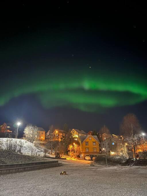 Cozy Ground Floor Apartment Tromsø Exterior foto